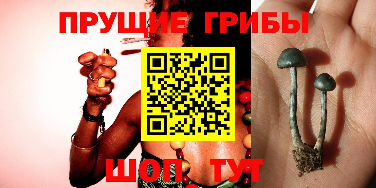 Галлюциногенные грибы прущие грибы Клин